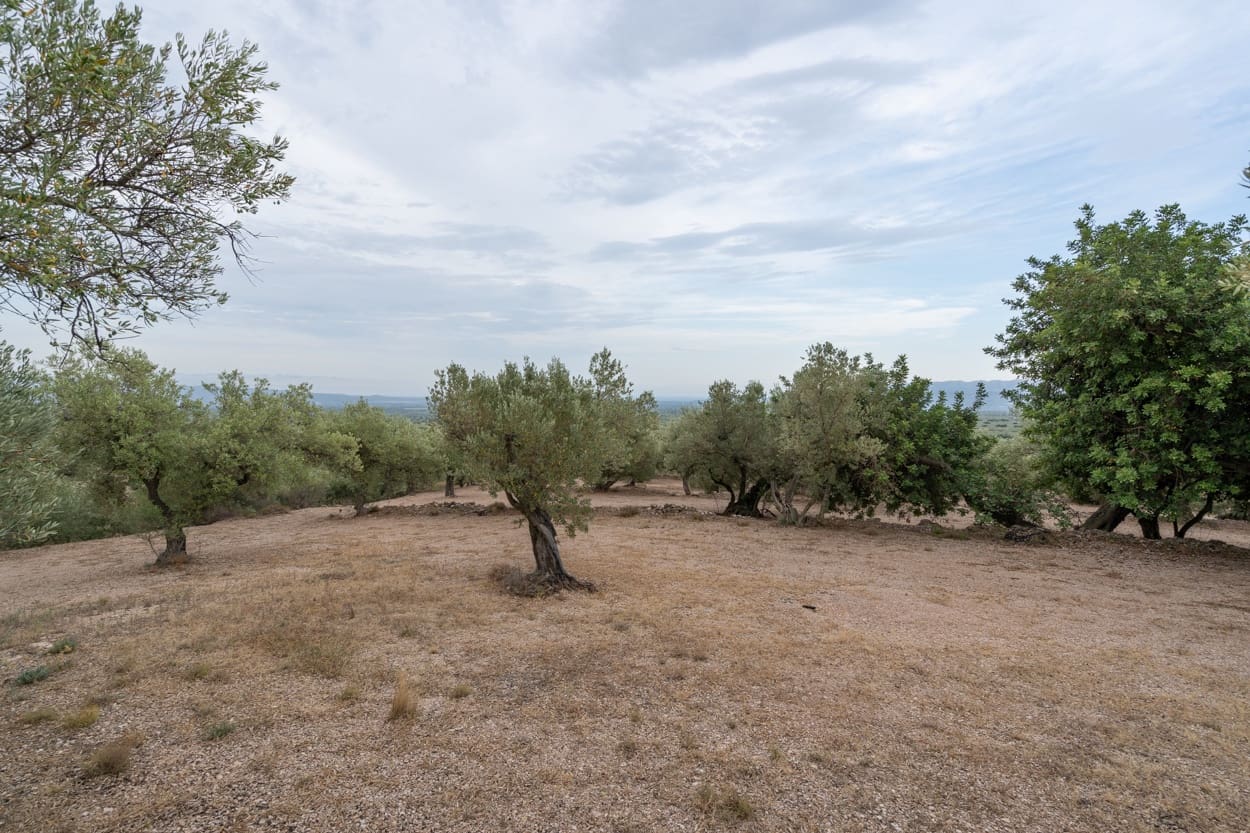 Finca/Herregård til salgs i Mas de Barberans - € 9 000 (Ref: 9352993)