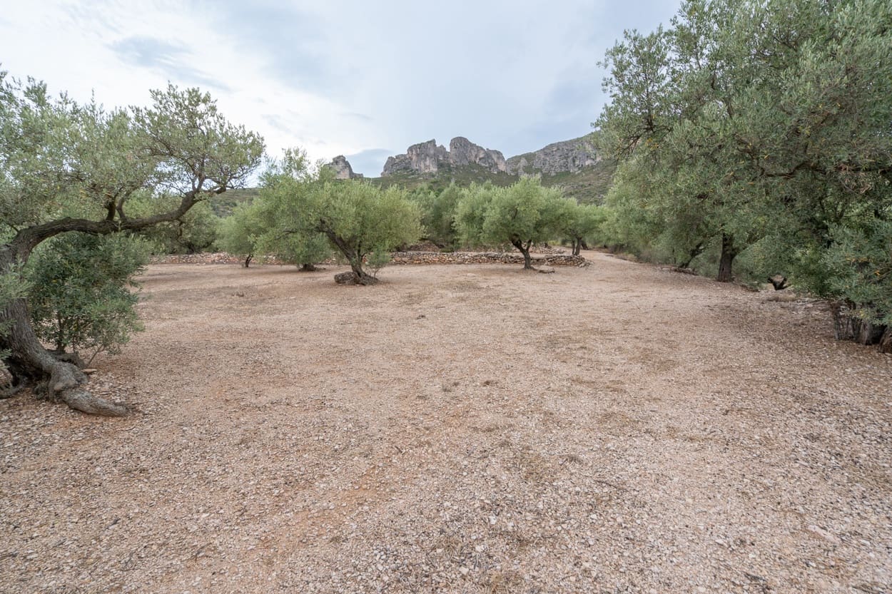 Finca/Herregård til salgs i Mas de Barberans - € 9 000 (Ref: 9352993)