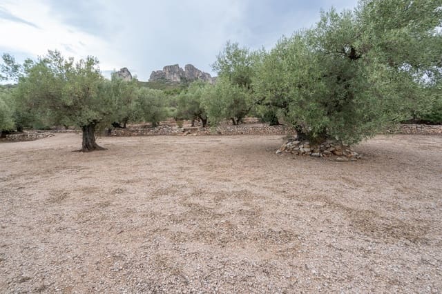 Finca/Herregård til salgs i Mas de Barberans - € 9 000 (Ref: 9352993)