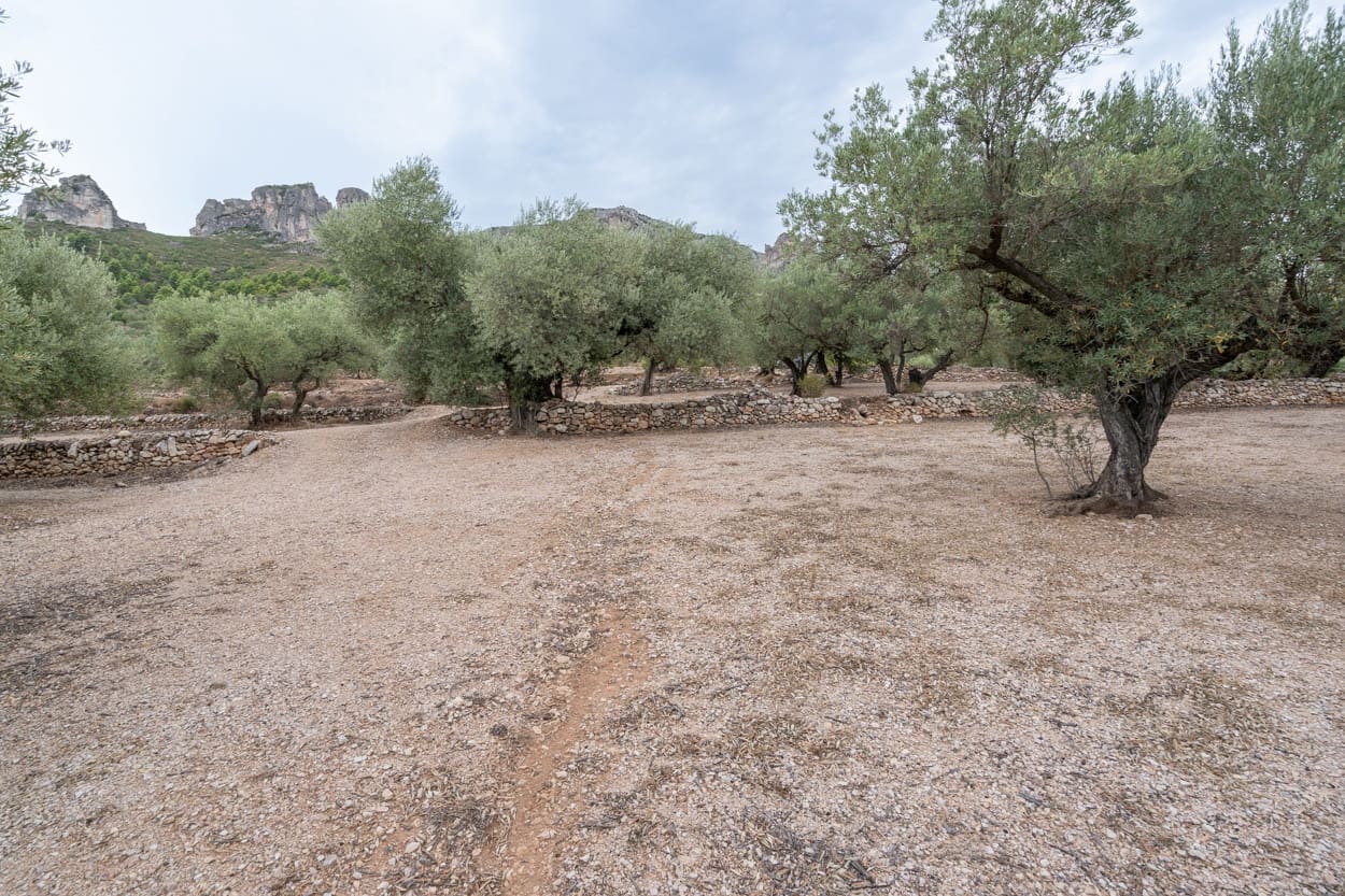 Finca/Herregård til salgs i Mas de Barberans - € 9 000 (Ref: 9352993)