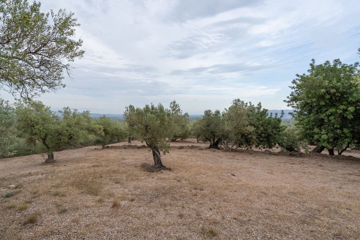 Finca/Casa Rural en Mas de Barberans en venta - 9.000 € (Ref: 9352993)