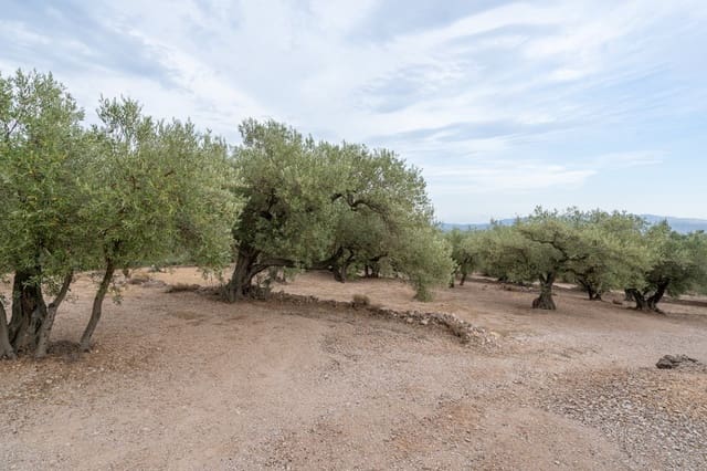 Finca/Casa Rural en Mas de Barberans en venta - 9.000 € (Ref: 9352993)