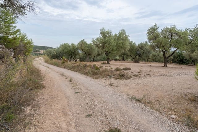 Finca/Casa Rural en Mas de Barberans en venta - 9.000 € (Ref: 9352993)
