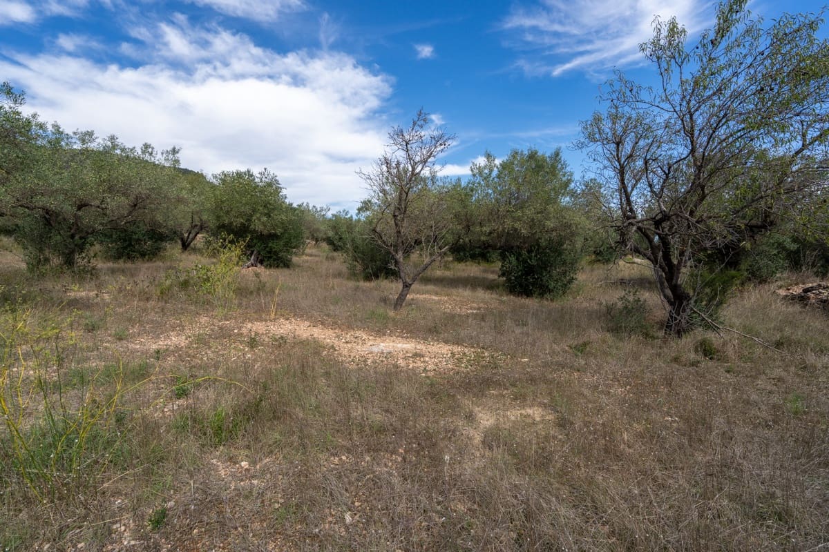 Finka/Dom wiejski na sprzedaż w Tortosa - 36 000 € (Ref: 9353846)