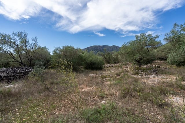 Finca/Herregård til salgs i Tortosa - € 36 000 (Ref: 9353846)