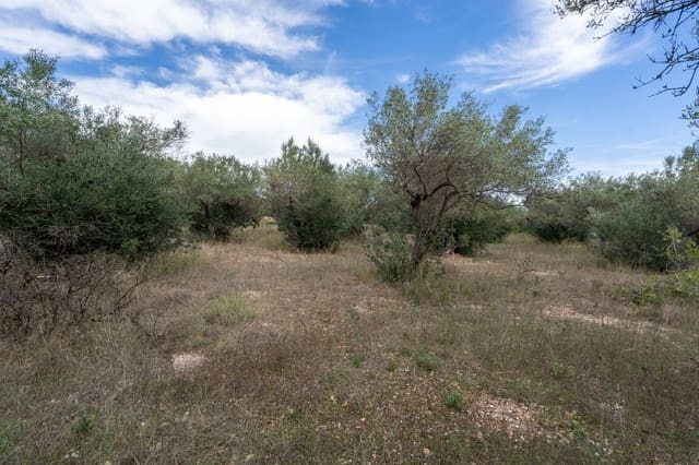 Finca/Herregård til salgs i Tortosa - € 36 000 (Ref: 9353846)