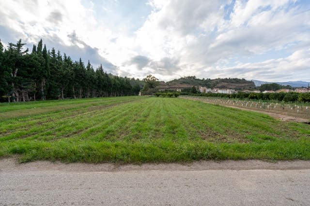 Finca/Casa di Campagna in vendita in Aldover - 33.000 € (Rif: 9356542)