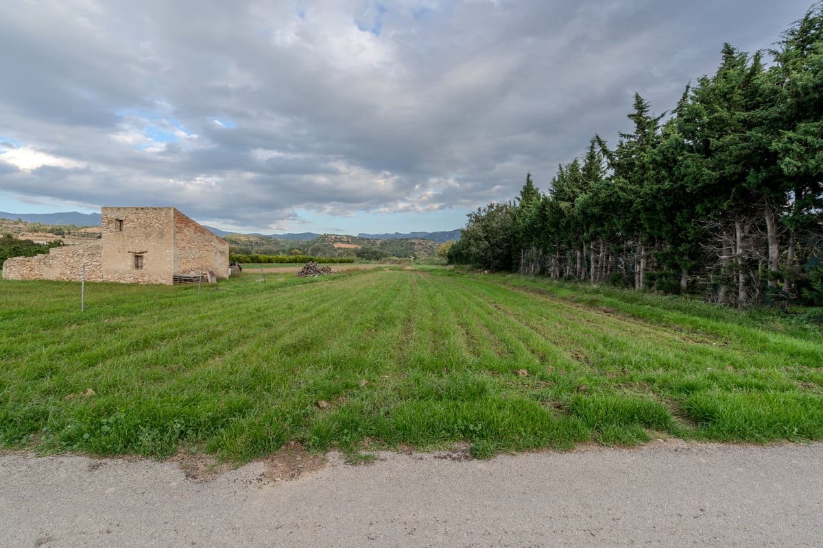 Finca/Casa di Campagna in vendita in Aldover - 33.000 € (Rif: 9356542)
