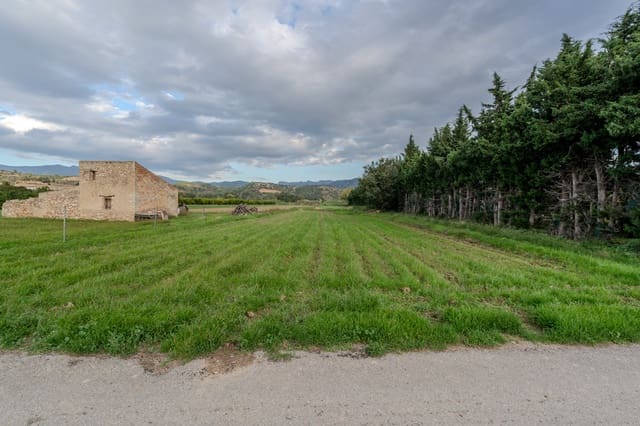 Finca/Casa di Campagna in vendita in Aldover - 33.000 € (Rif: 9356542)