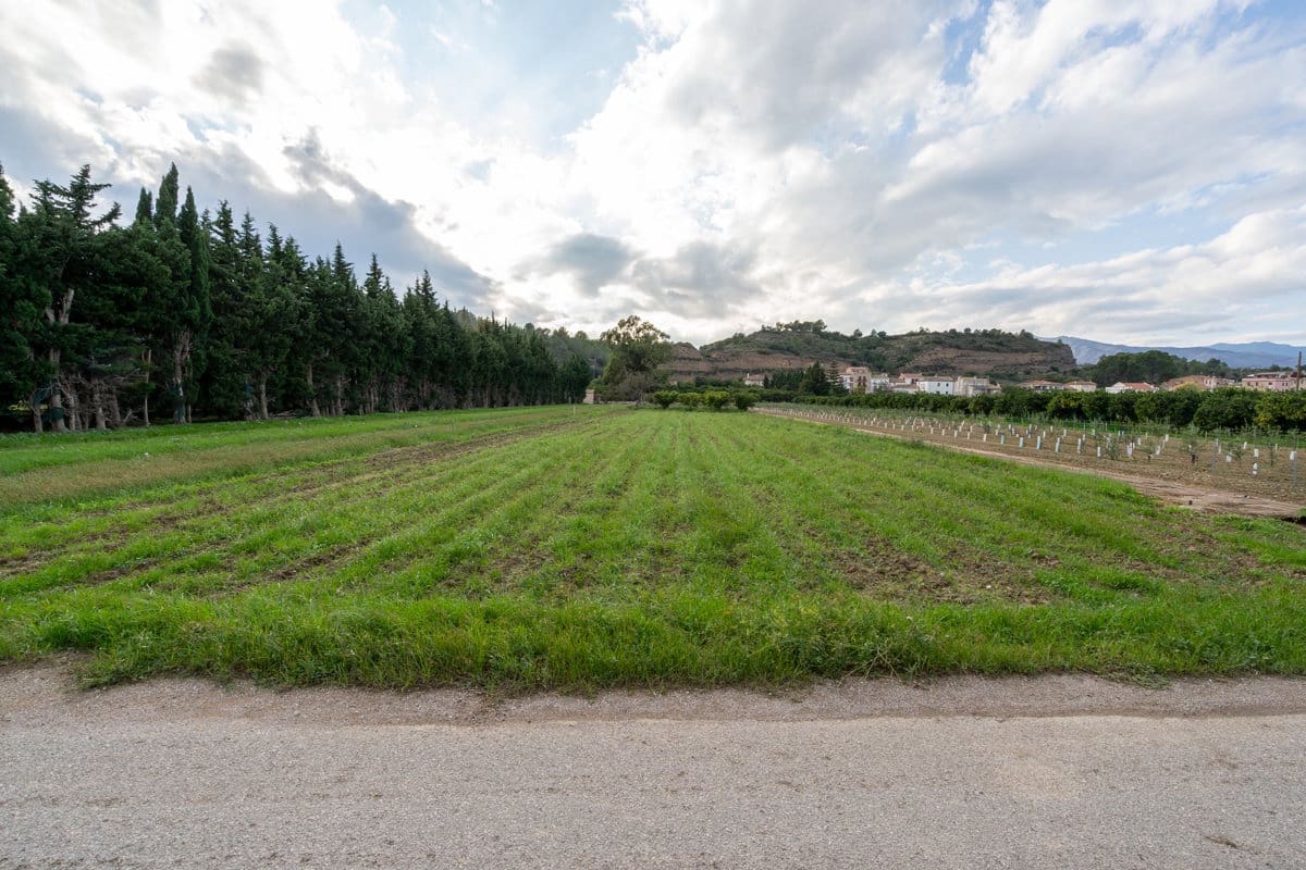 Finca/Casa di Campagna in vendita in Aldover - 33.000 € (Rif: 9356542)