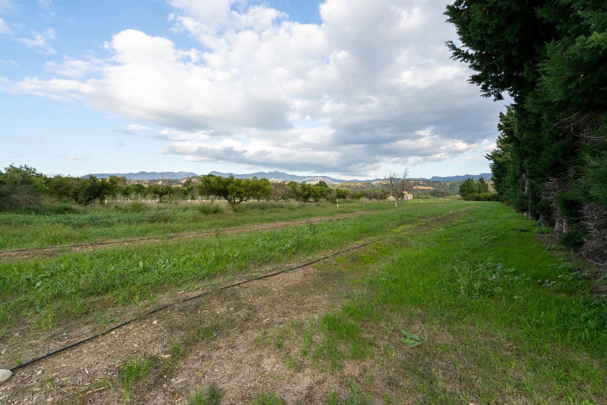 Finca/Casa di Campagna in vendita in Aldover - 33.000 € (Rif: 9356542)