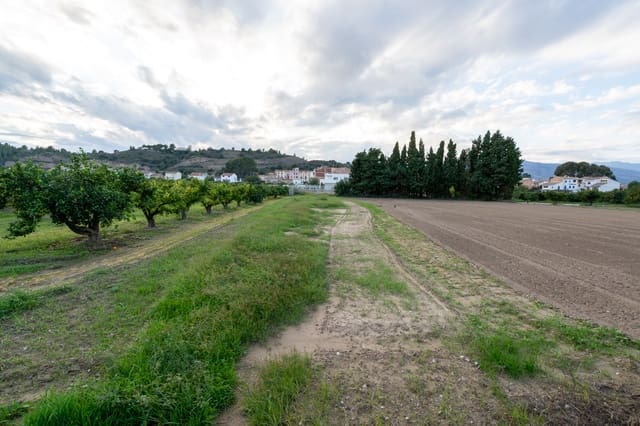 Finca/Casa di Campagna in vendita in Aldover - 23.000 € (Rif: 9356543)