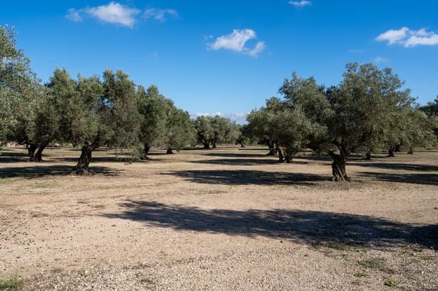 Finca/Herregård til salgs i Roquetes - € 38 000 (Ref: 9360831)