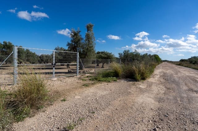 Finca/Herregård til salgs i Roquetes - € 38 000 (Ref: 9360831)