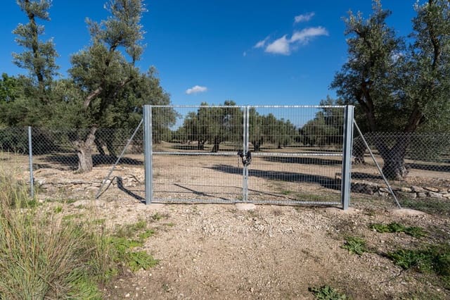 Finca/Herregård til salgs i Roquetes - € 38 000 (Ref: 9360831)