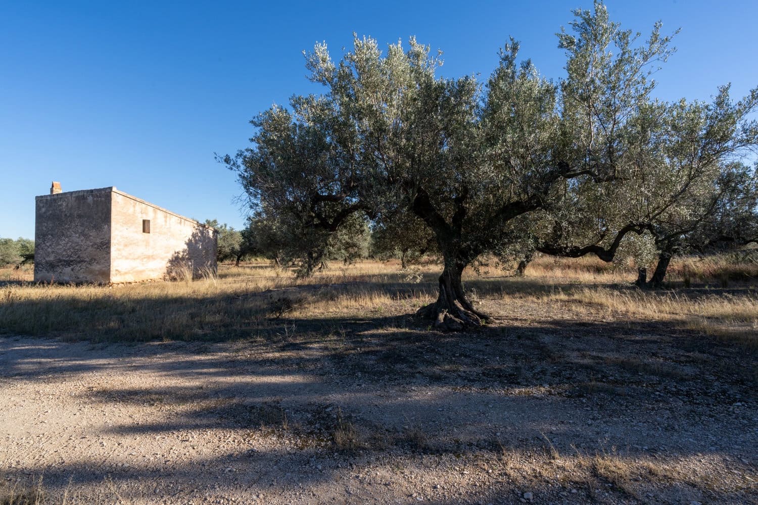 Finca/Herregård til salgs i Roquetes - € 38 000 (Ref: 9360831)