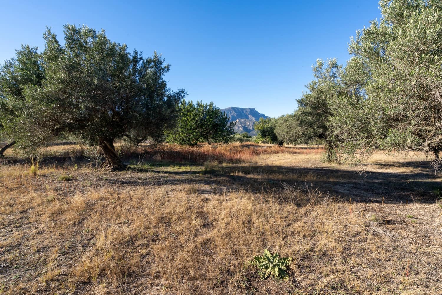 Finca/Herregård til salgs i Roquetes - € 38 000 (Ref: 9360831)