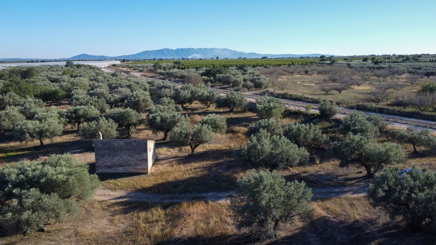 Finca/Herregård til salgs i Roquetes - € 38 000 (Ref: 9360831)