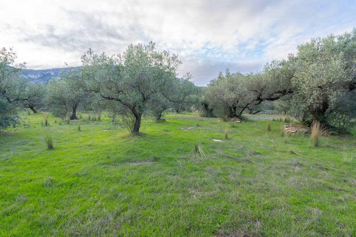 Finca/Landehus til salg i Roquetes - € 31.000 (Ref: 9376399)