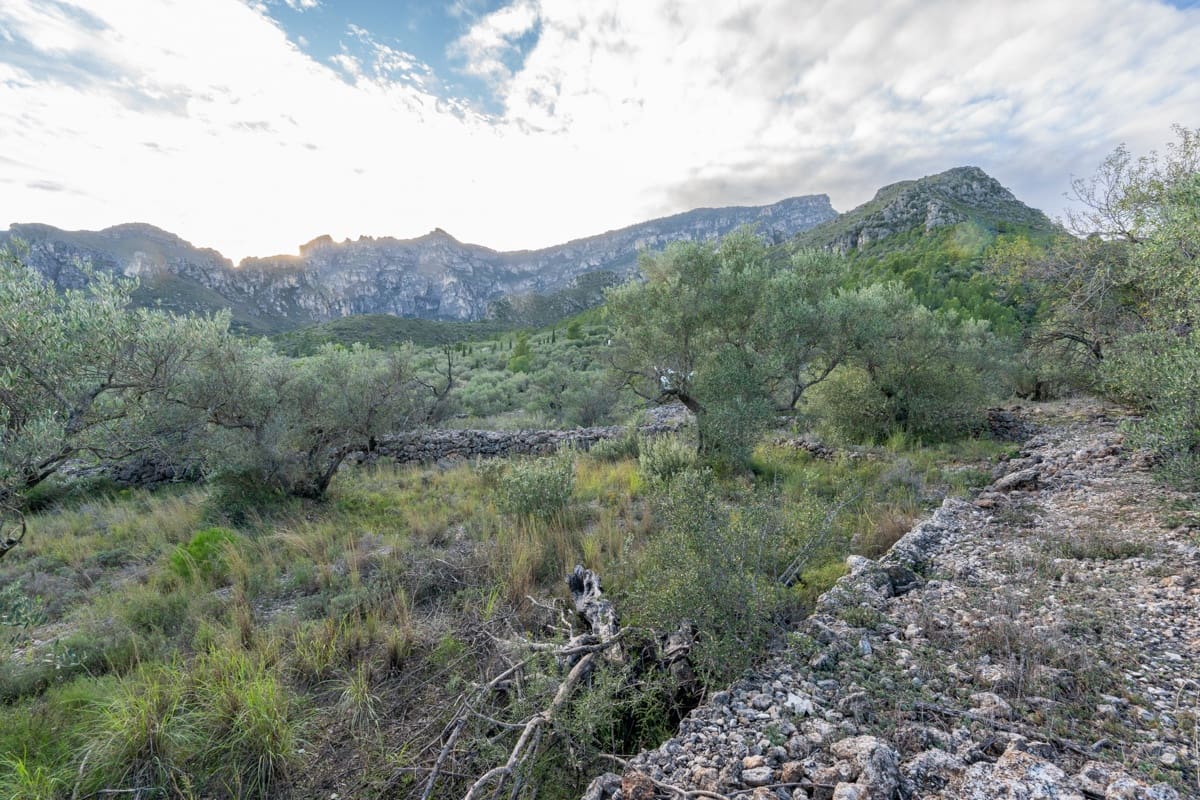 Finca/Landehus til salg i Roquetes - € 31.000 (Ref: 9376399)