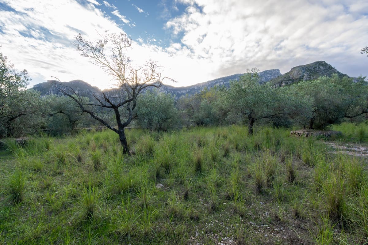 Finca/Landehus til salg i Roquetes - € 31.000 (Ref: 9376399)