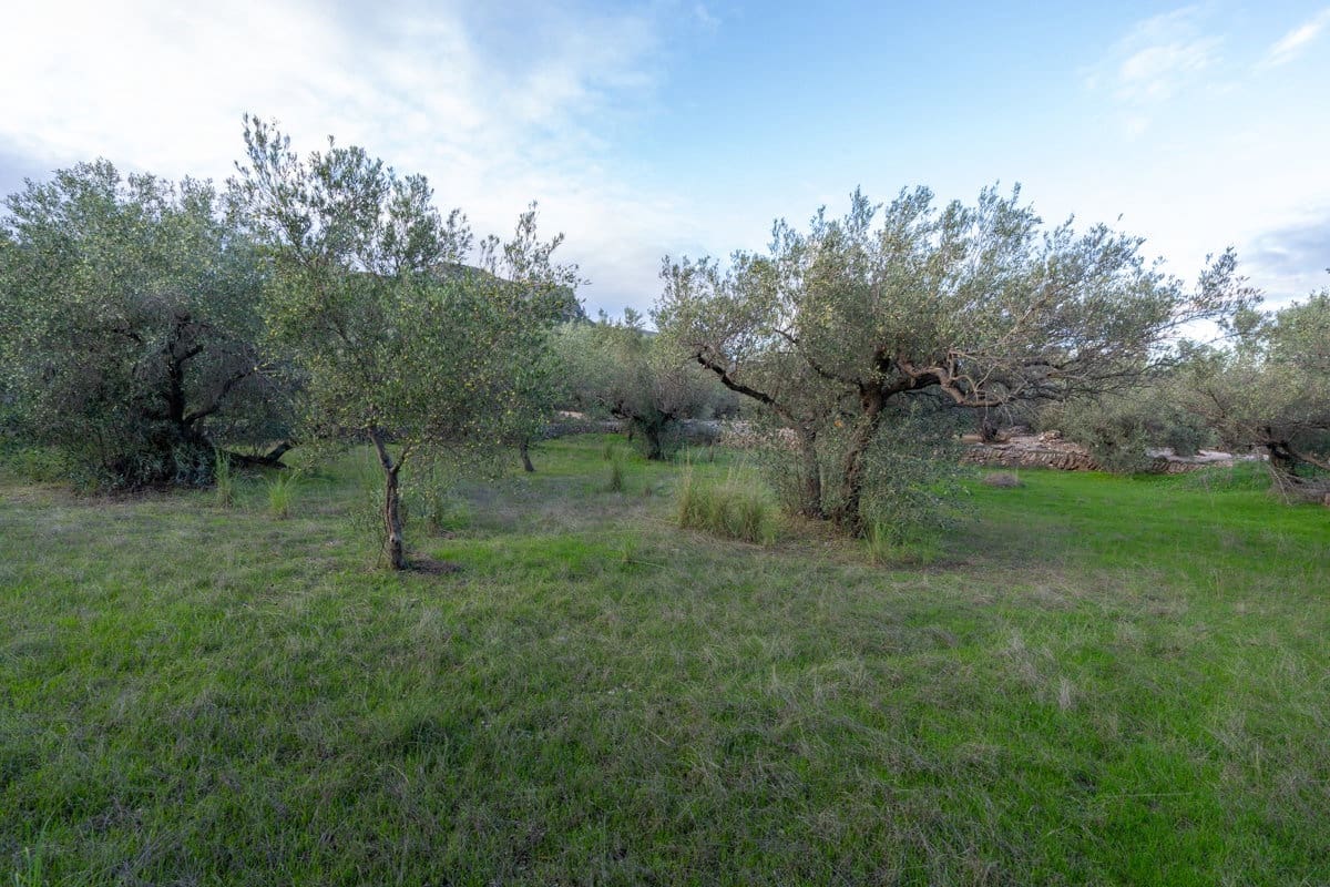 Finca/Country House for sale in Roquetes - € 31,000 (Ref: 9376399)