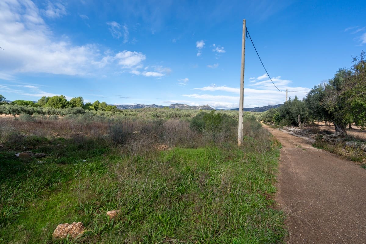 Finca/Country House for sale in La Senia - € 12,000 (Ref: 9376492)