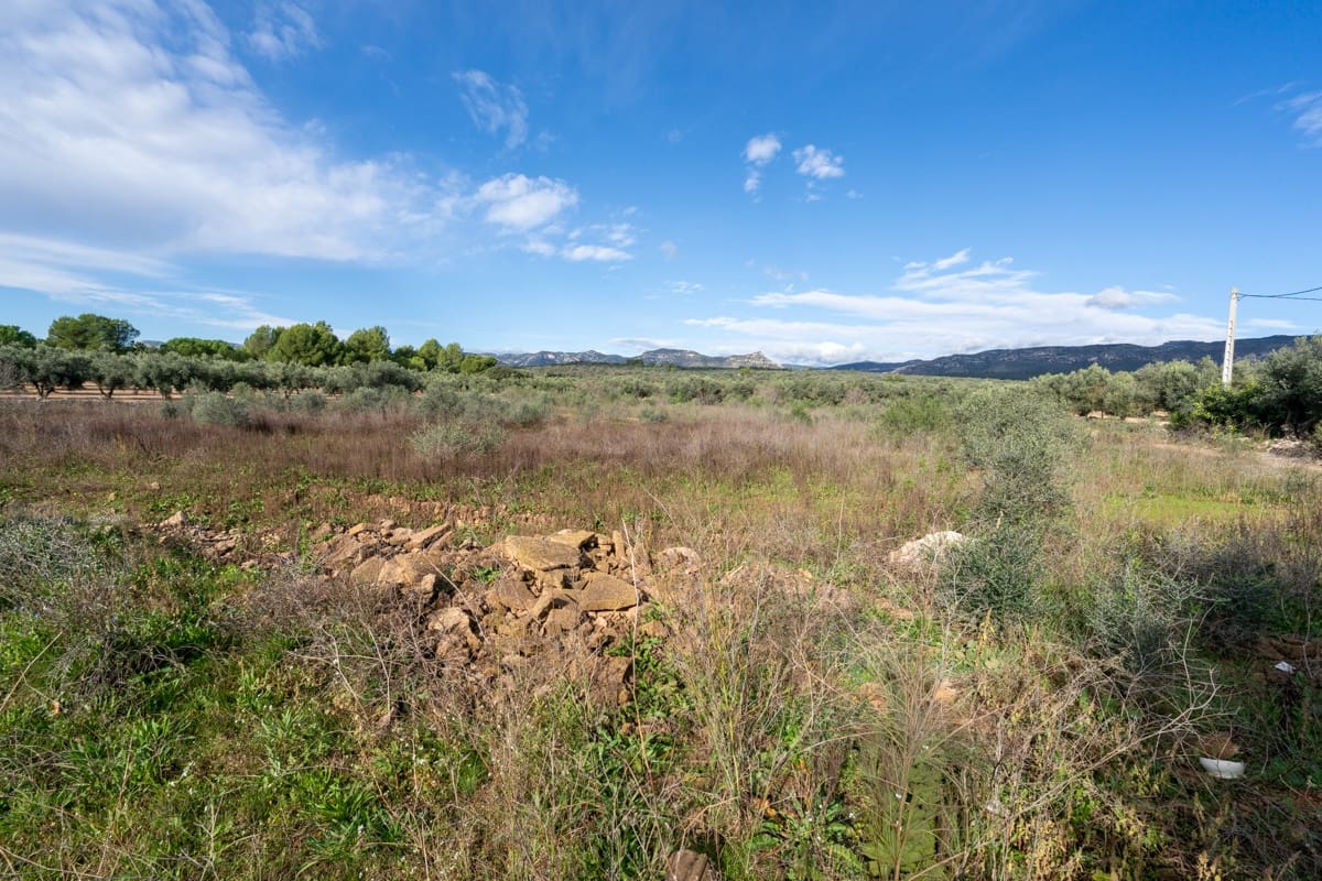 Finca/Country House for sale in La Senia - € 12,000 (Ref: 9376492)