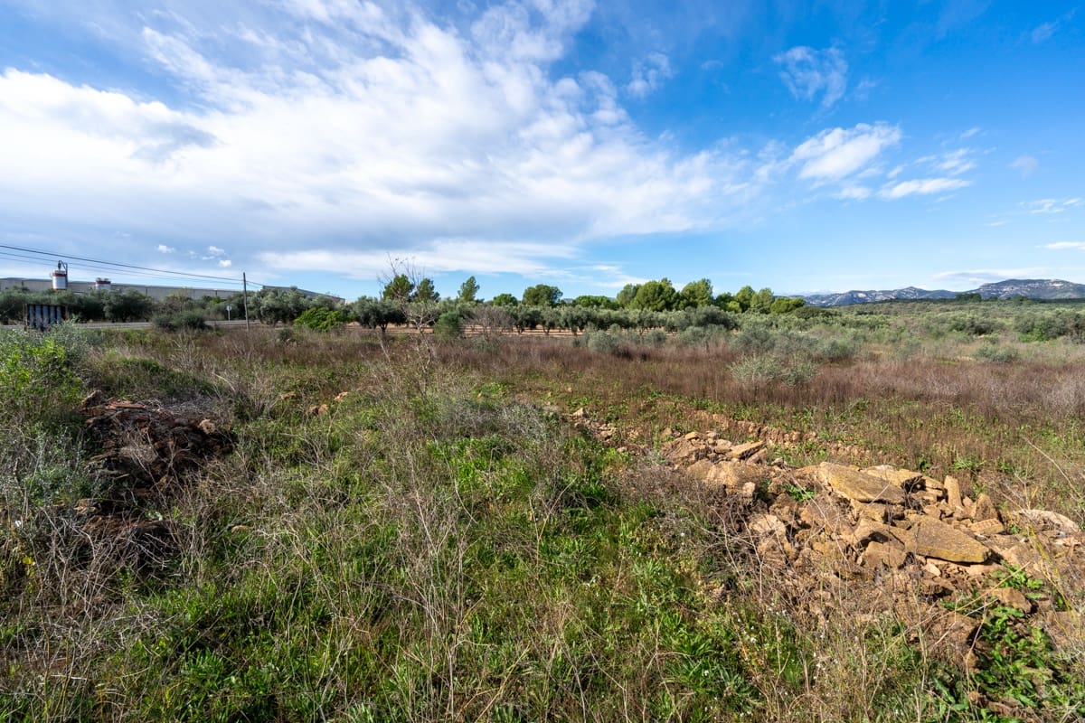 Finca/Country House for sale in La Senia - € 12,000 (Ref: 9376492)