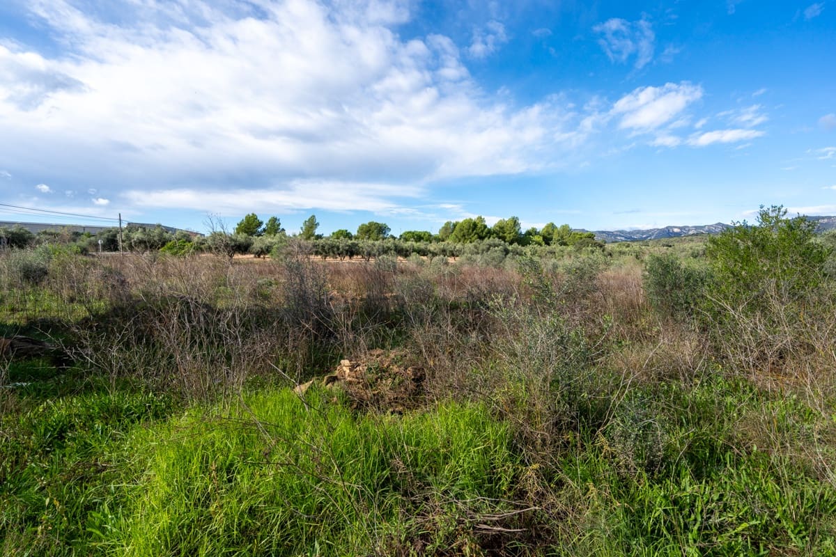 Finca/Country House for sale in La Senia - € 12,000 (Ref: 9376492)