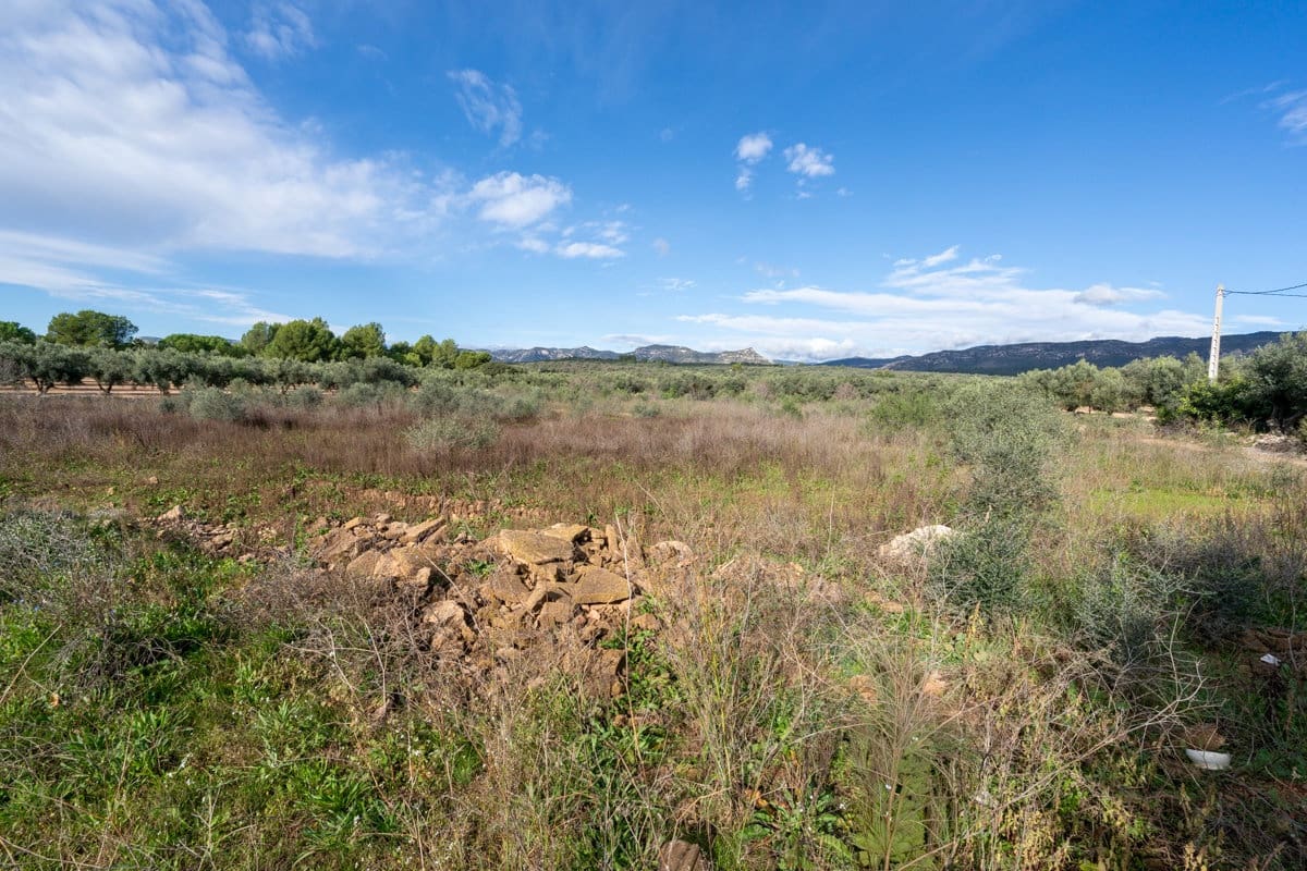 Finca/Country House for sale in La Senia - € 12,000 (Ref: 9376492)