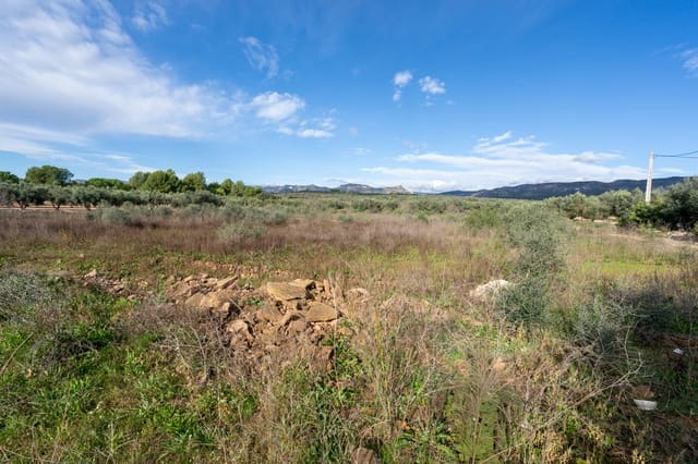 Finca/Casa di Campagna in vendita in La Sénia - 12.000 € (Rif: 9376492)
