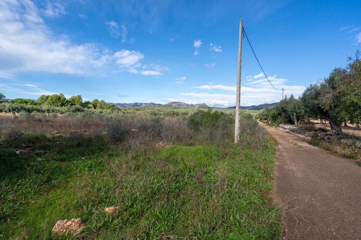 Finca/Country House for sale in La Senia - € 12,000 (Ref: 9376492)