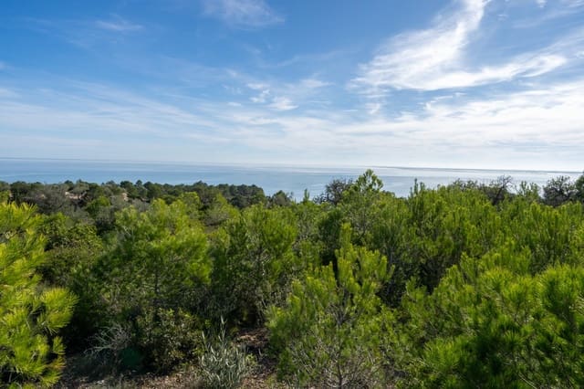 1 chambre Finca/Maison de Campagne à vendre à El Perelló - 270 000 € (Ref: 9386020)