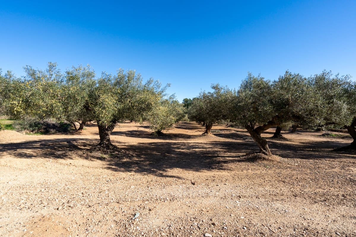 4 soverom Villa til salgs i Camp-redo - € 295 000 (Ref: 9421752)