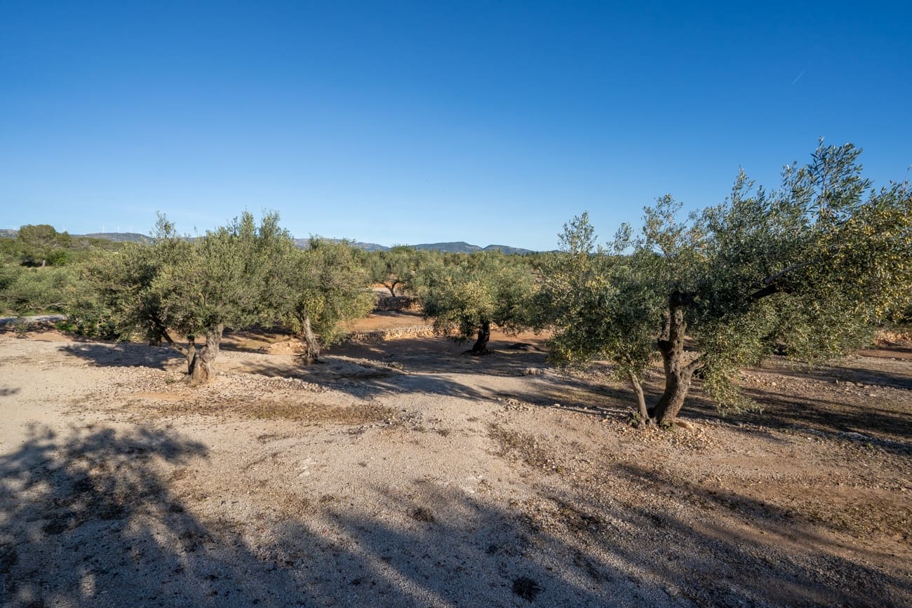 10 soverom Villa til salgs i Camarles - € 621 000 (Ref: 9432600)