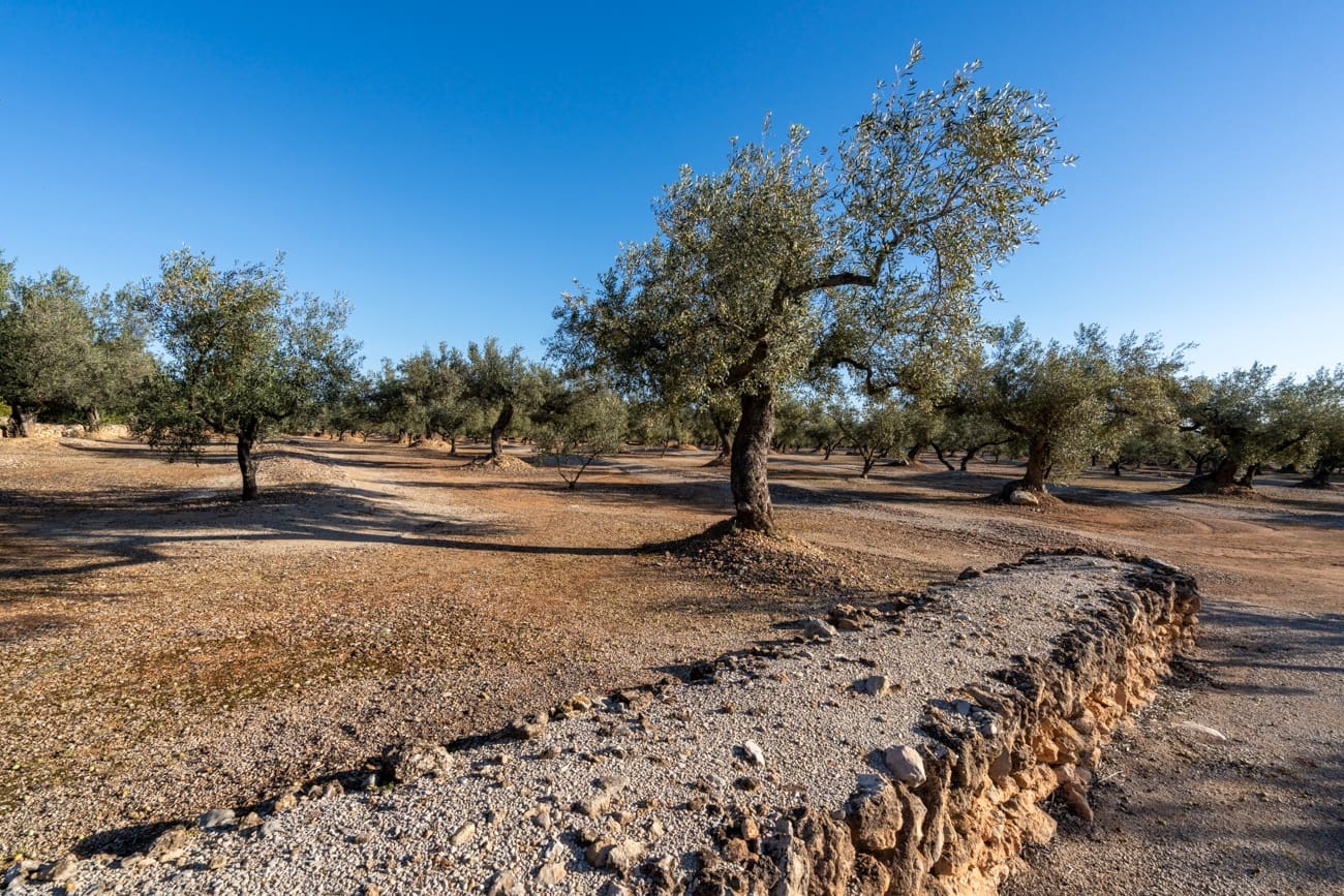 10 soverom Villa til salgs i Camarles - € 621 000 (Ref: 9432600)