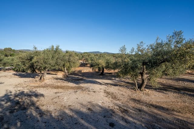 10 soverom Villa til salgs i Camarles - € 621 000 (Ref: 9432600)