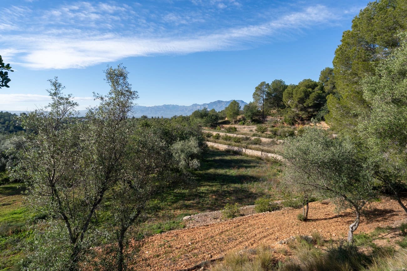 Chalet de 4 habitaciones en Tortosa en venta - 385.000 € (Ref: 9437137)