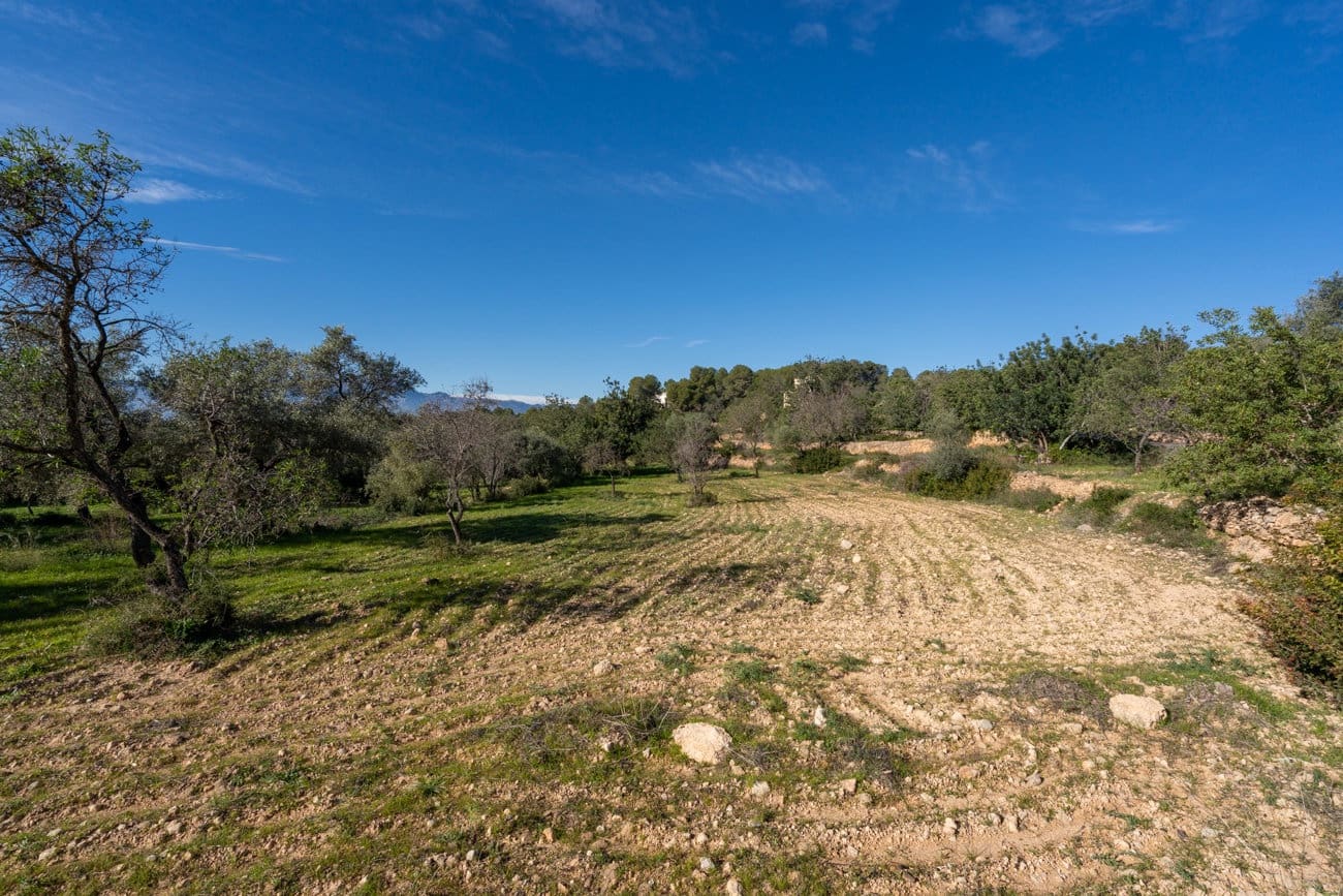 Chalet de 4 habitaciones en Tortosa en venta - 385.000 € (Ref: 9437137)