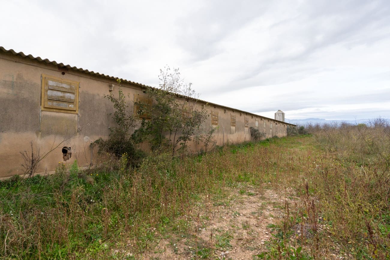 Finca/Herregård til salgs i Ulldecona - € 120 000 (Ref: 9439015)