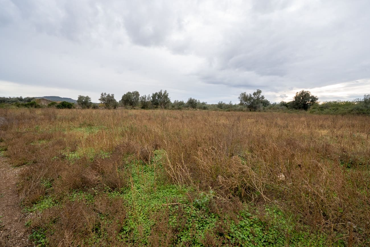 Finca/Herregård til salgs i Ulldecona - € 120 000 (Ref: 9439015)