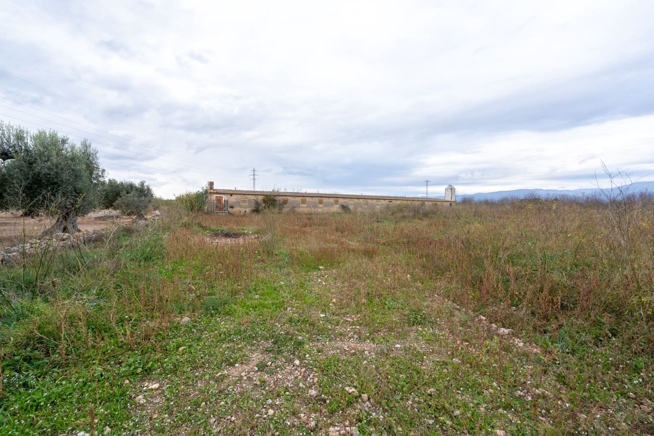 Finca/Herregård til salgs i Ulldecona - € 120 000 (Ref: 9439015)