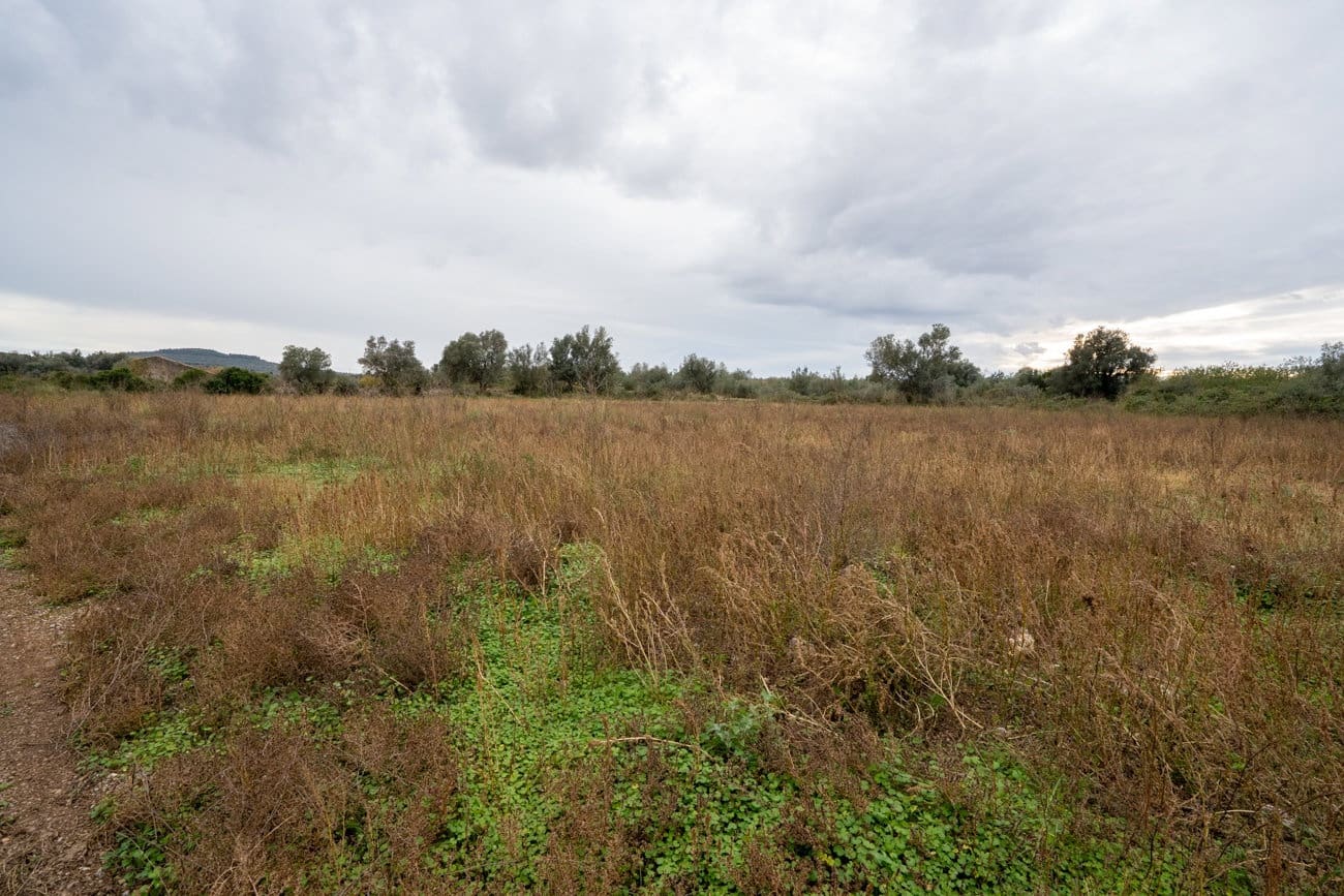 Finca/Country House for sale in Ulldecona - € 90,000 (Ref: 9439015)