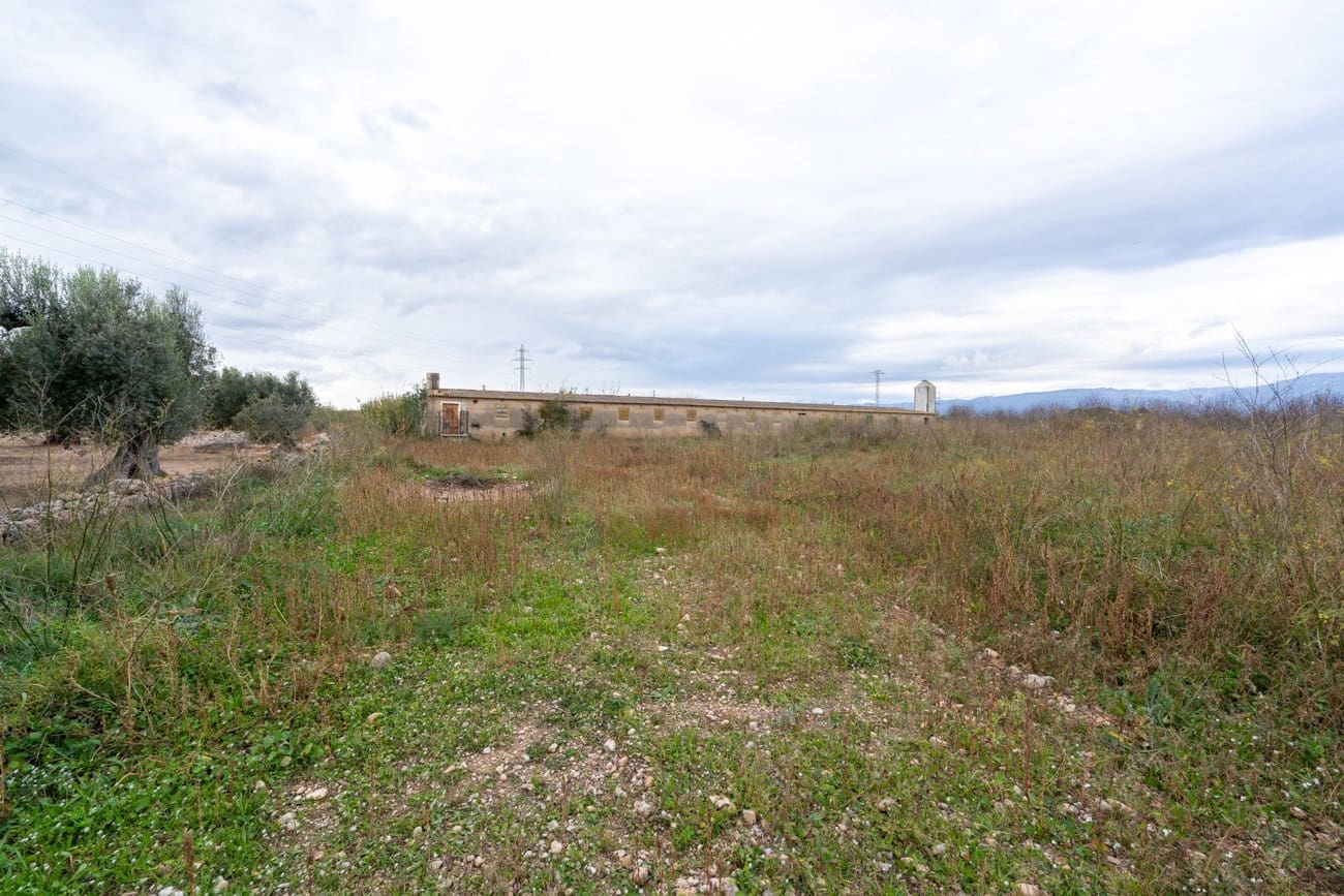 Finca/Country House for sale in Ulldecona - € 90,000 (Ref: 9439015)