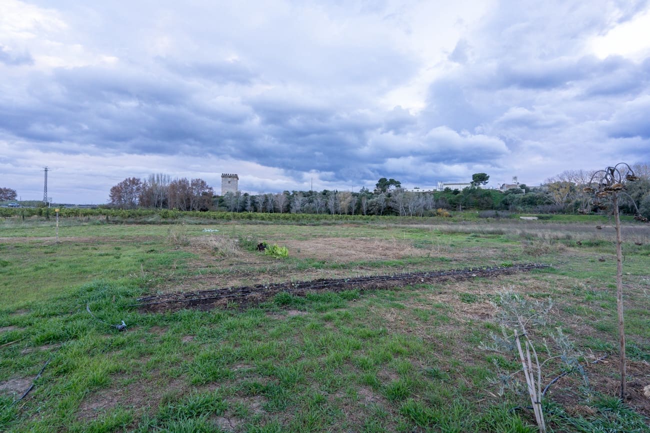 3 bedroom Finca/Country House for sale in Amposta - € 139,000 (Ref: 9441094)