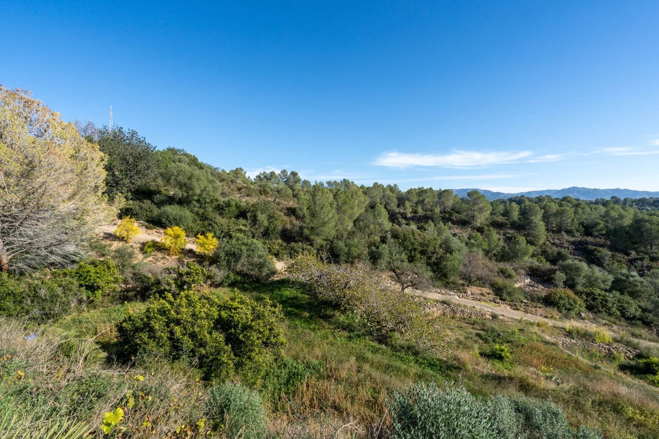 Finca/Herregård til salgs i Tivenys - € 23 000 (Ref: 9449207)