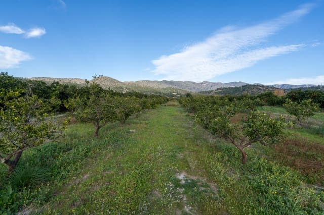 Teren niezagospodarowany na sprzedaż w Tivenys - 15 000 € (Ref: 9449882)