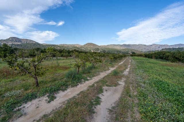 Teren niezagospodarowany na sprzedaż w Tivenys - 15 000 € (Ref: 9449882)