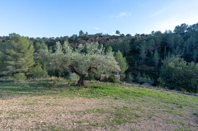 Finca/Landehus til salg i Tivenys - € 23.000 (Ref: 9449883)